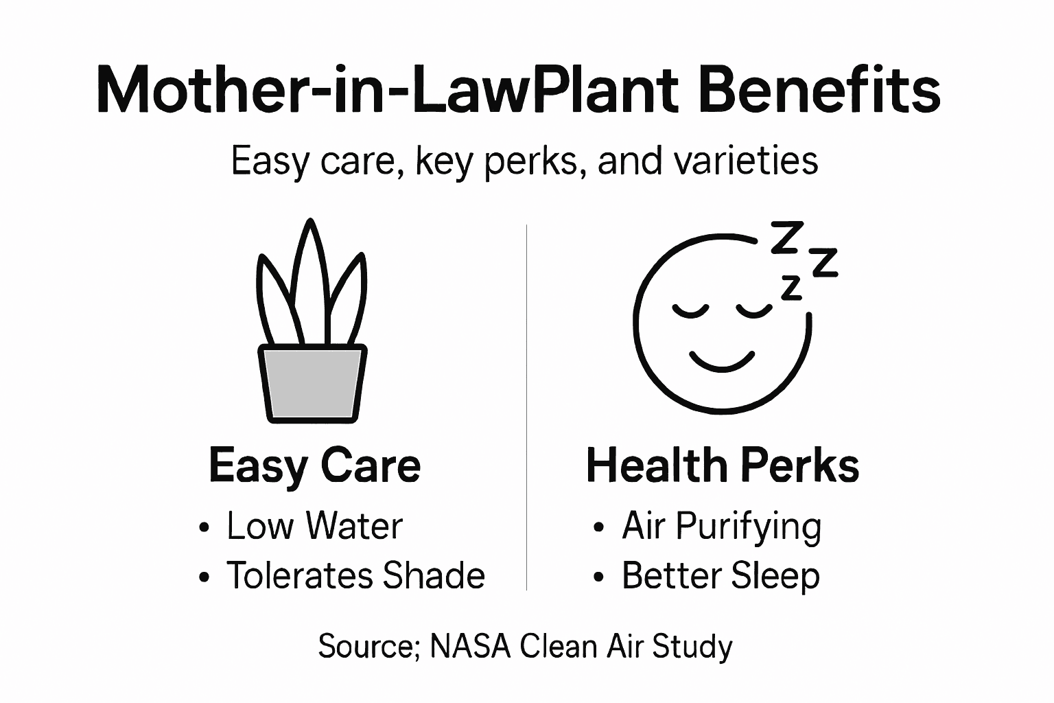 Infographic highlights care and benefits of plant