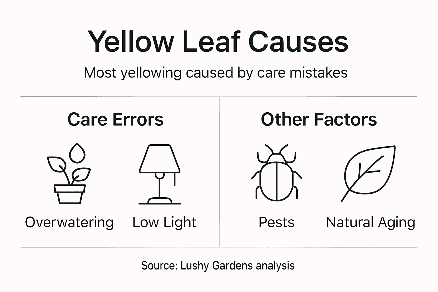 Infographic showing yellow leaf causes and care mistakes