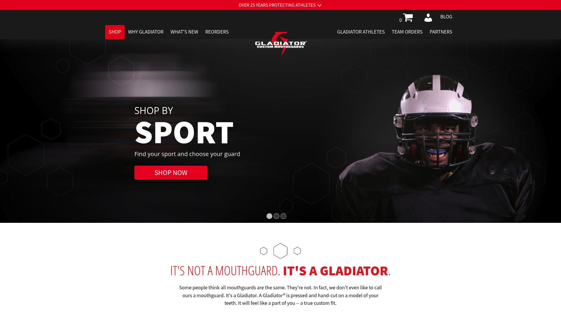 https://gladiatorguards.com
