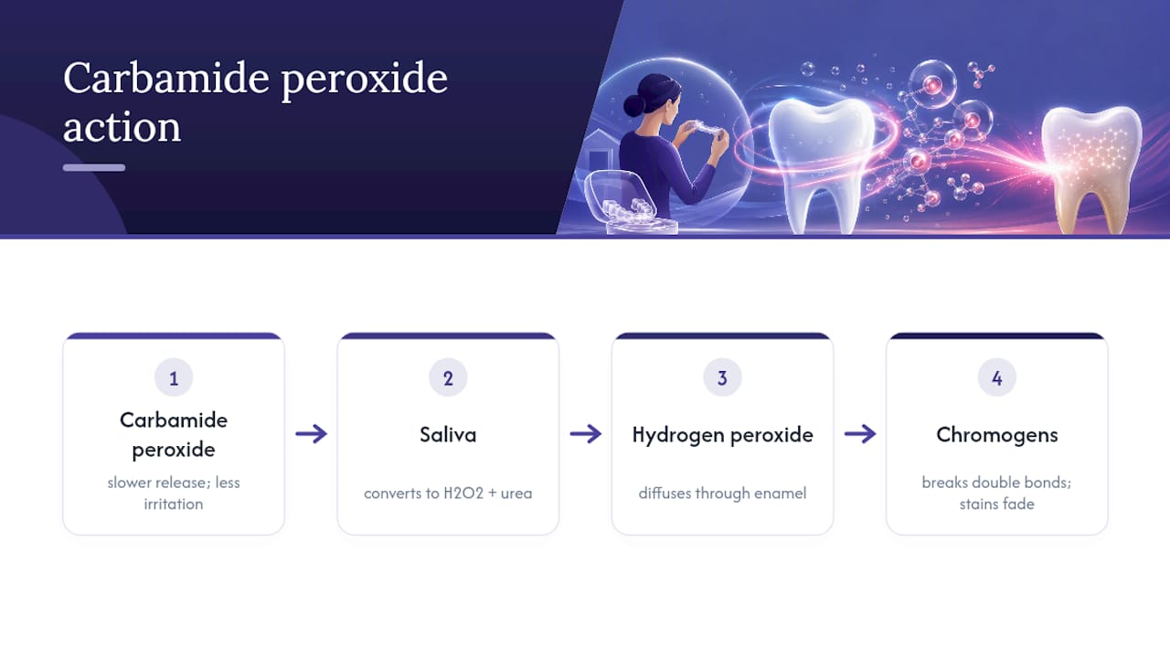 Carbamide peroxide whitening chemistry pathway