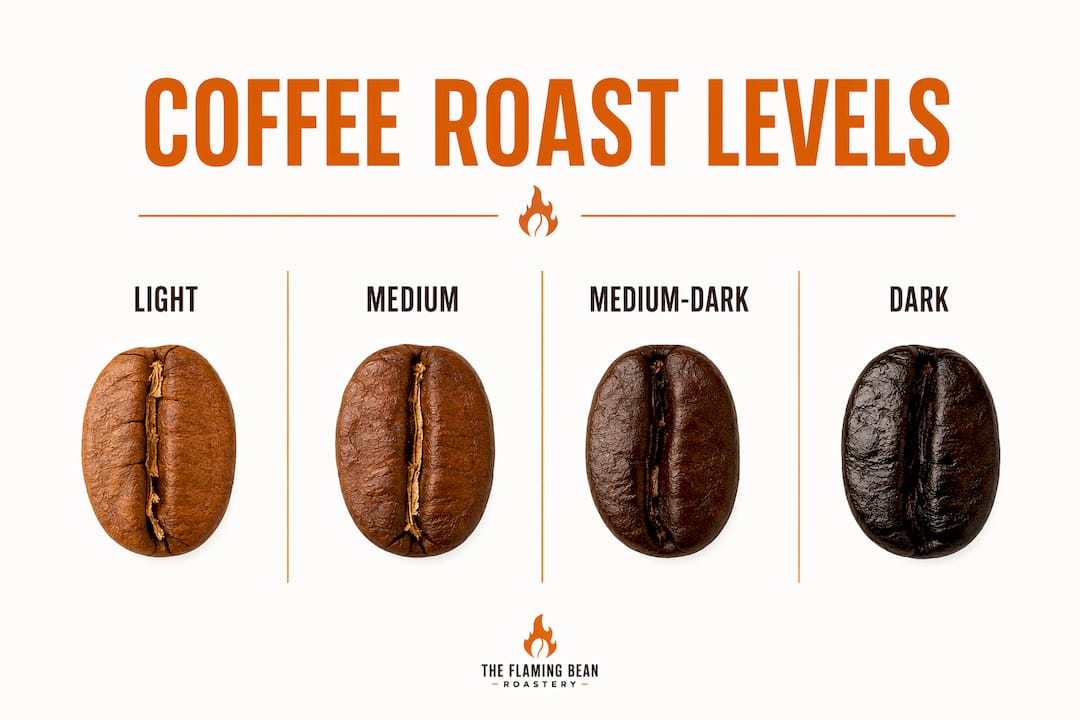 Infographic illustrating coffee roast levels hierarchy