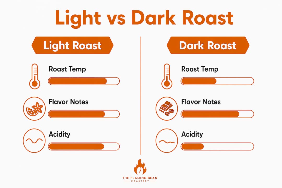 Infographic comparing light and dark coffee roasts side-by-side