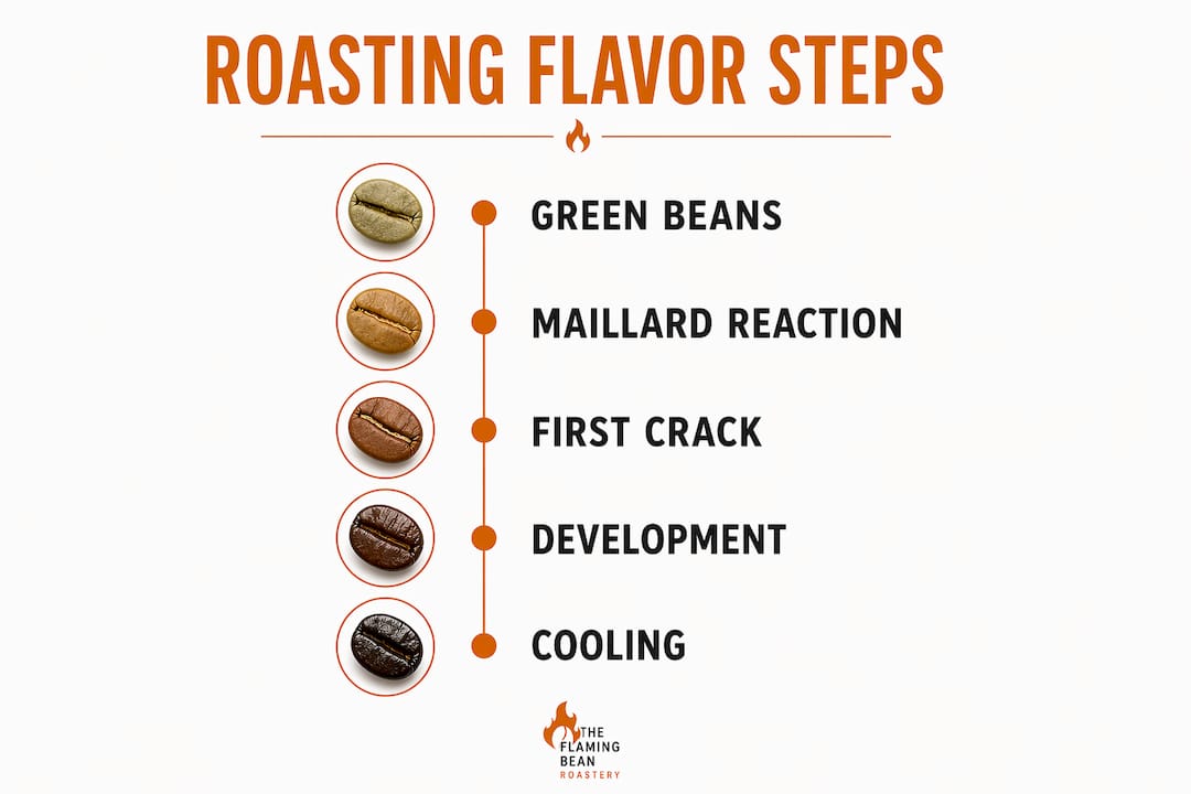 Infographic showing stepwise coffee roasting process