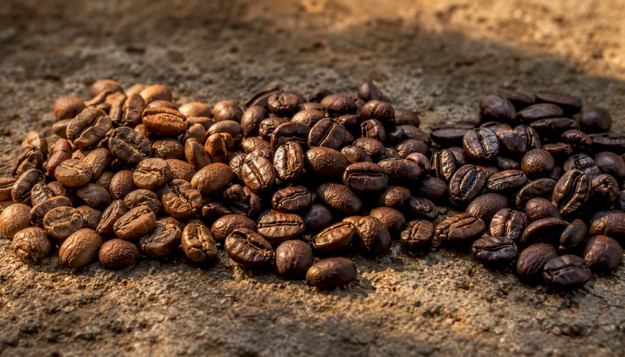 Close-up of East African coffee beans