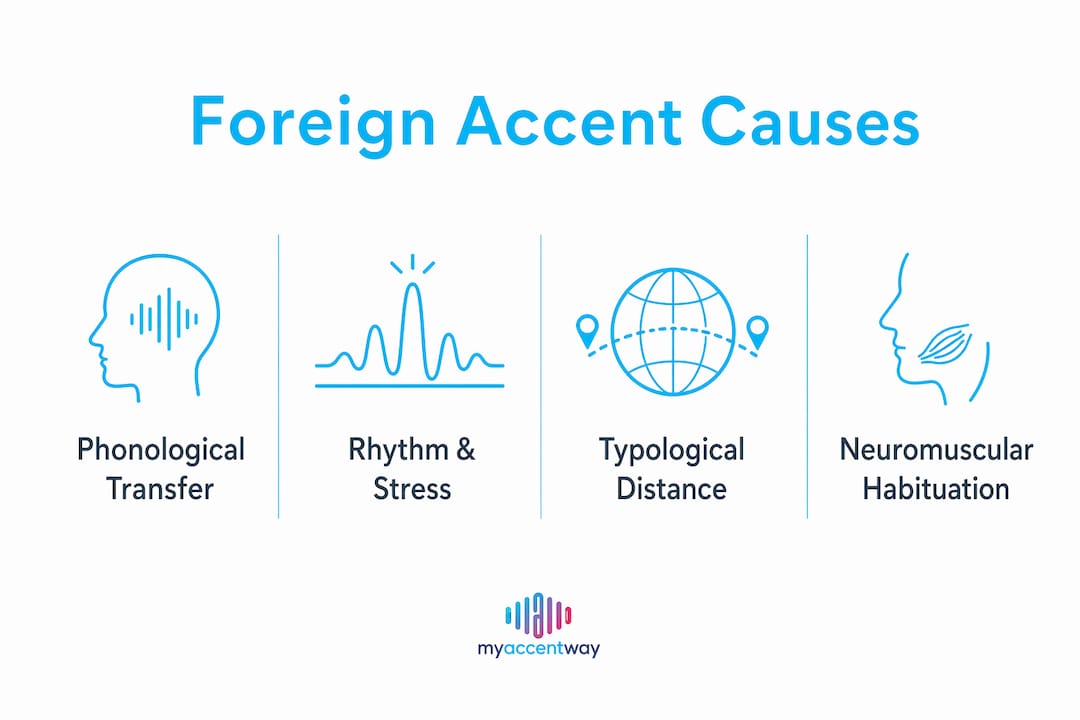 Infographic showing key causes of foreign accents