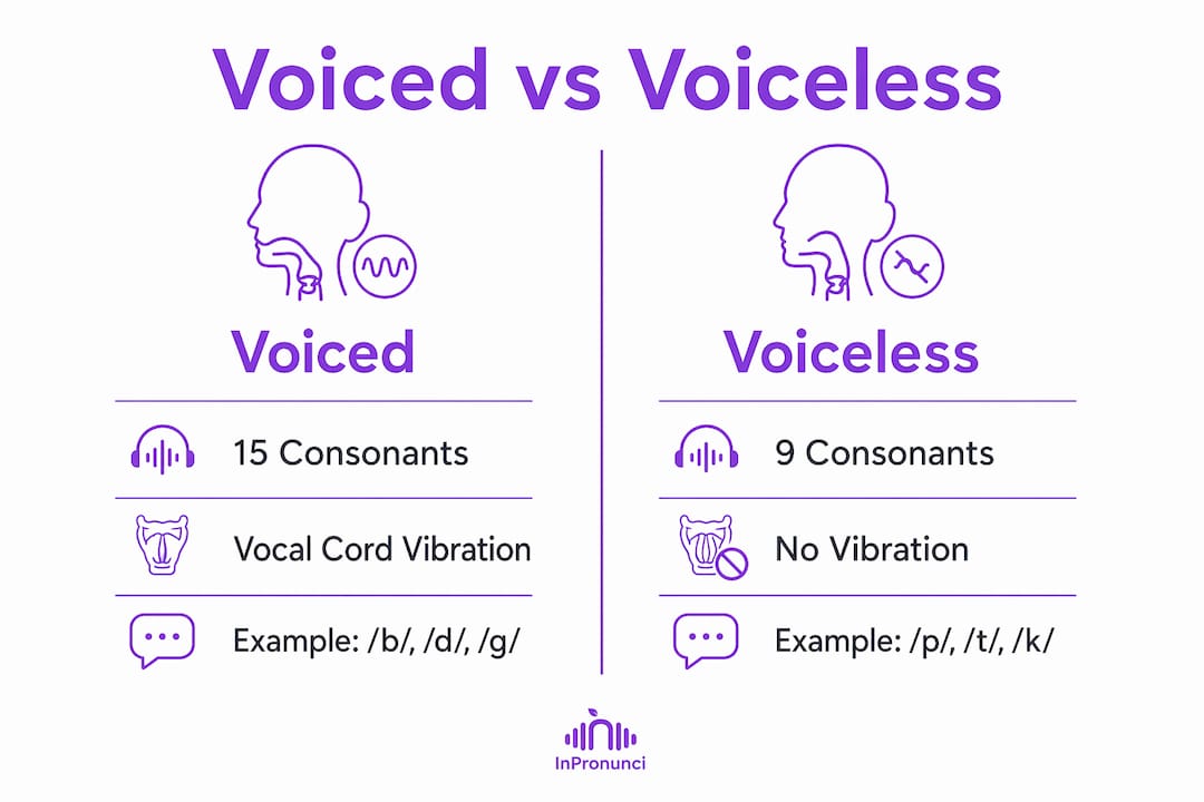 Infographic comparing voiced and voiceless sounds in American English