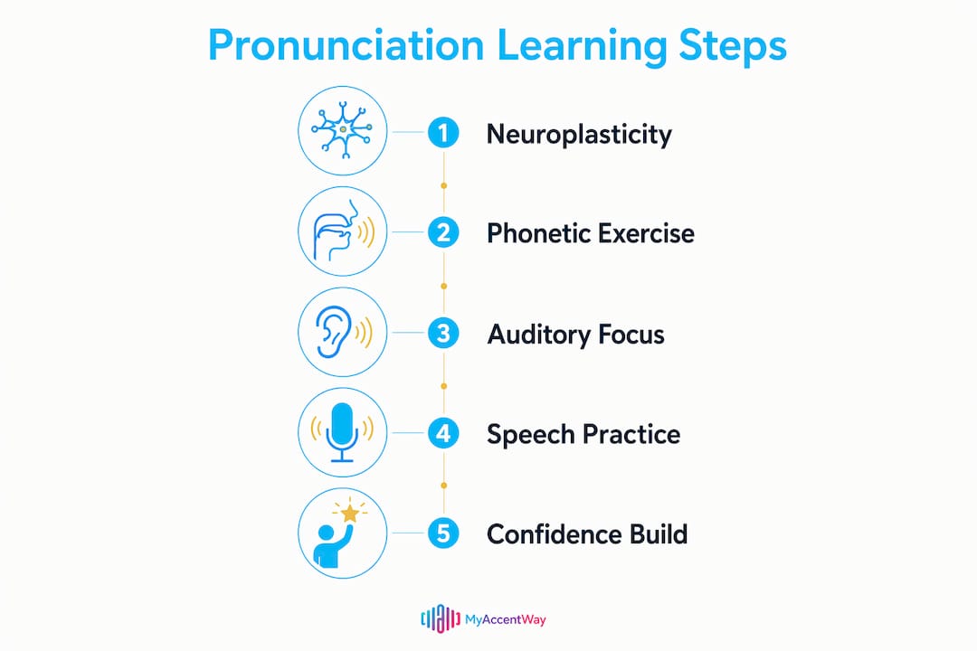 Infographic illustrating adult pronunciation learning steps