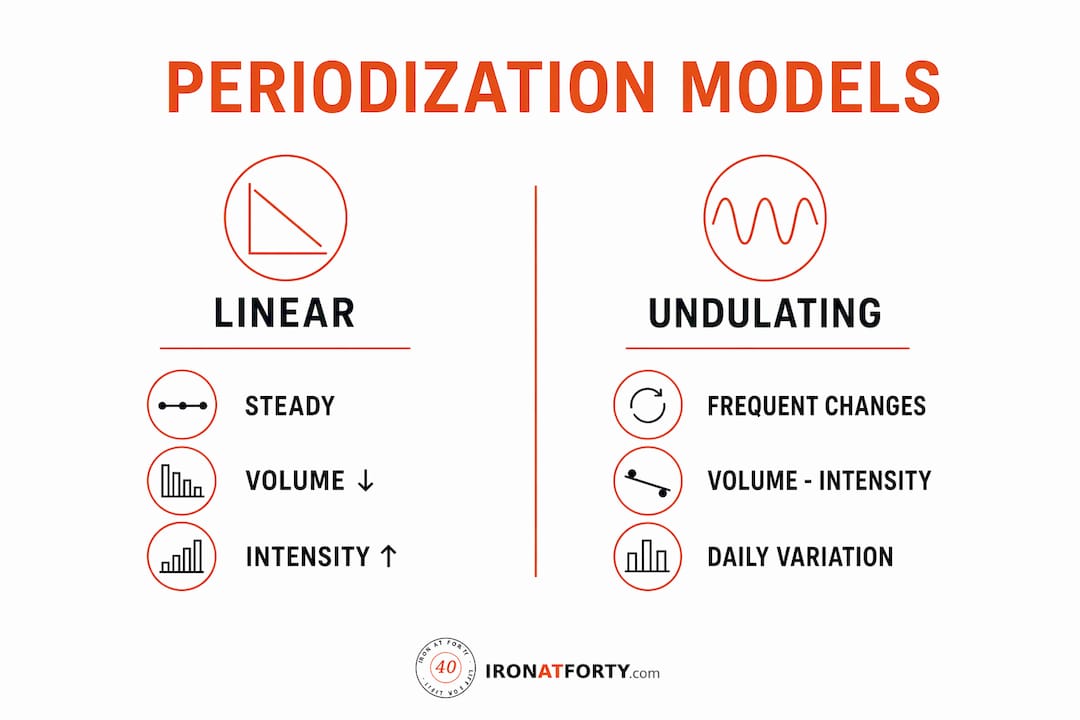Infographic comparing linear and undulating periodization