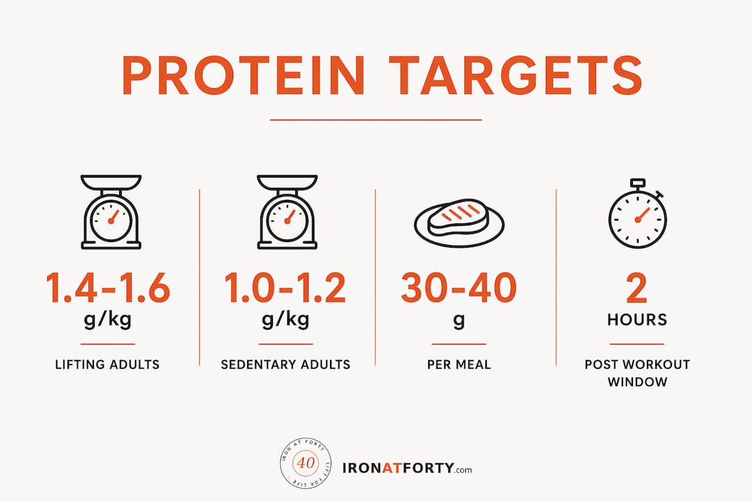 Infographic showing optimal protein intake guidelines for adults over 40