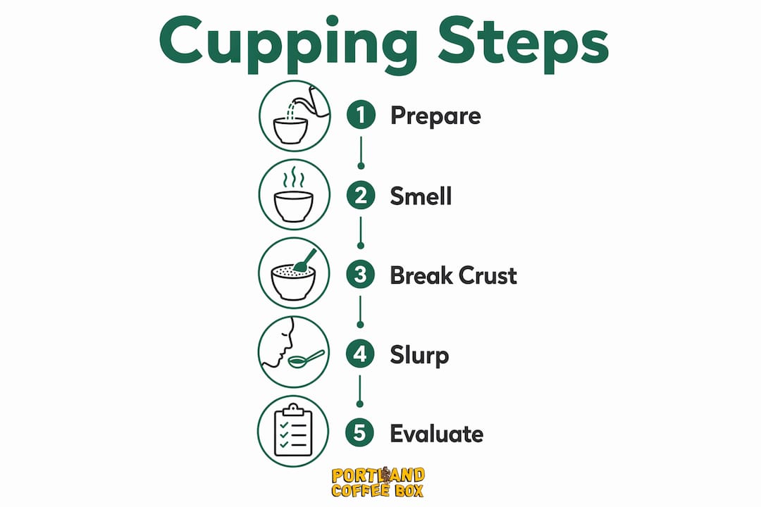 Infographic showing coffee cupping step-by-step process