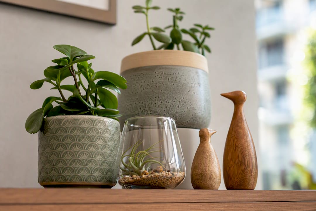 Grouped small decorative objects collection