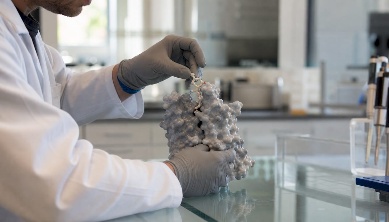 Hands manipulating peptide and receptor models