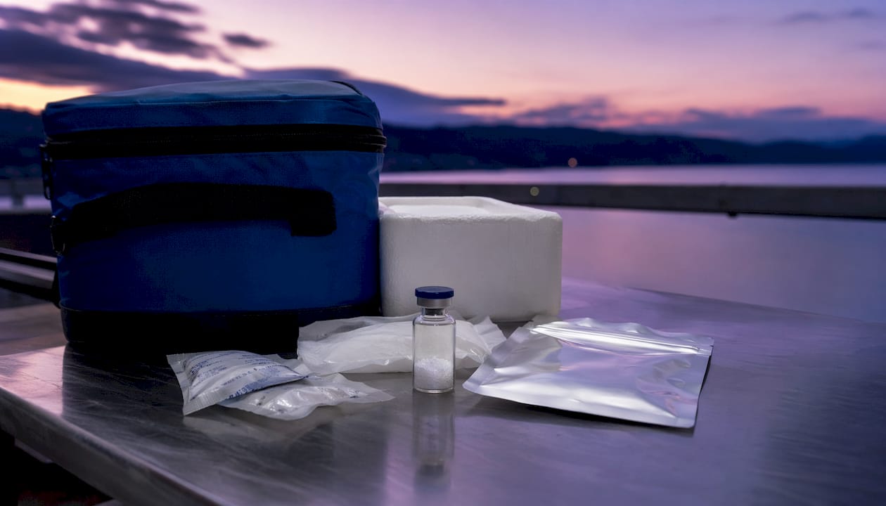 Storage setup for Melanotan 2 peptide vial