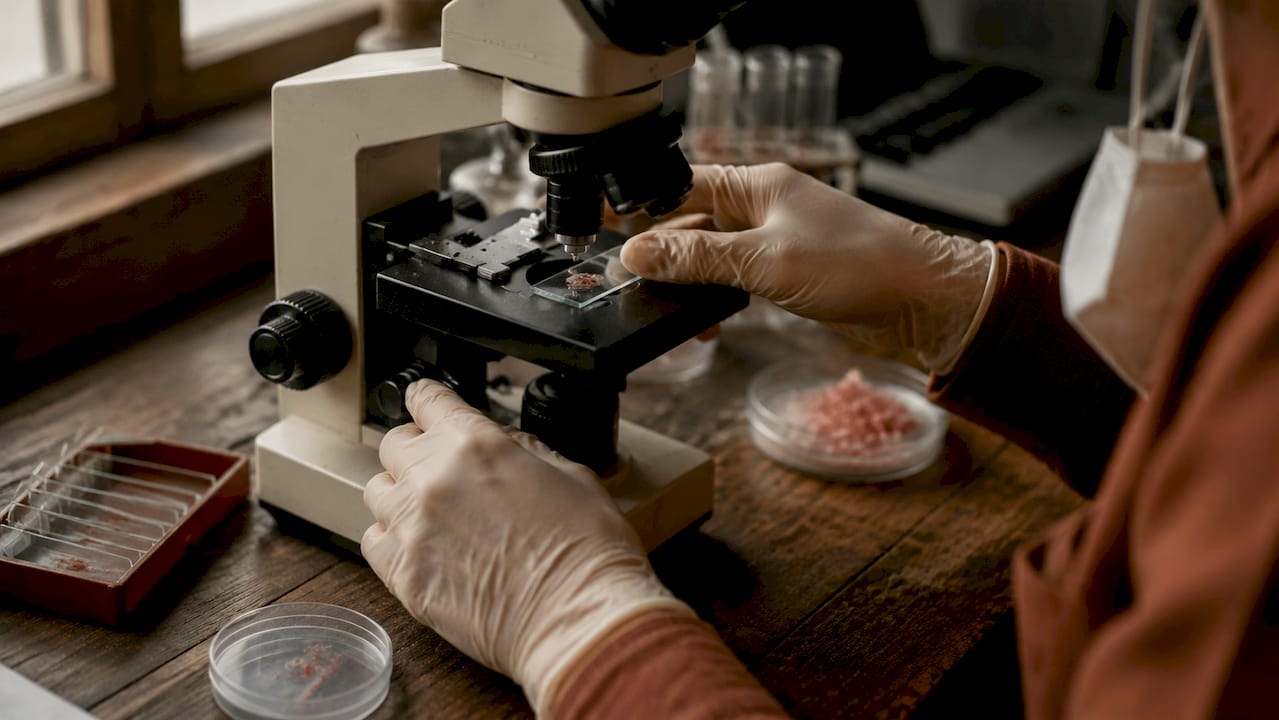 Hands handling lung tissue microscope slide in lab