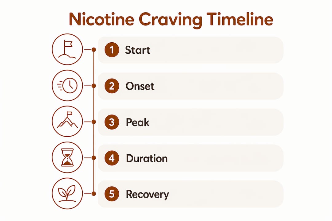 Infographic showing nicotine craving timeline stages