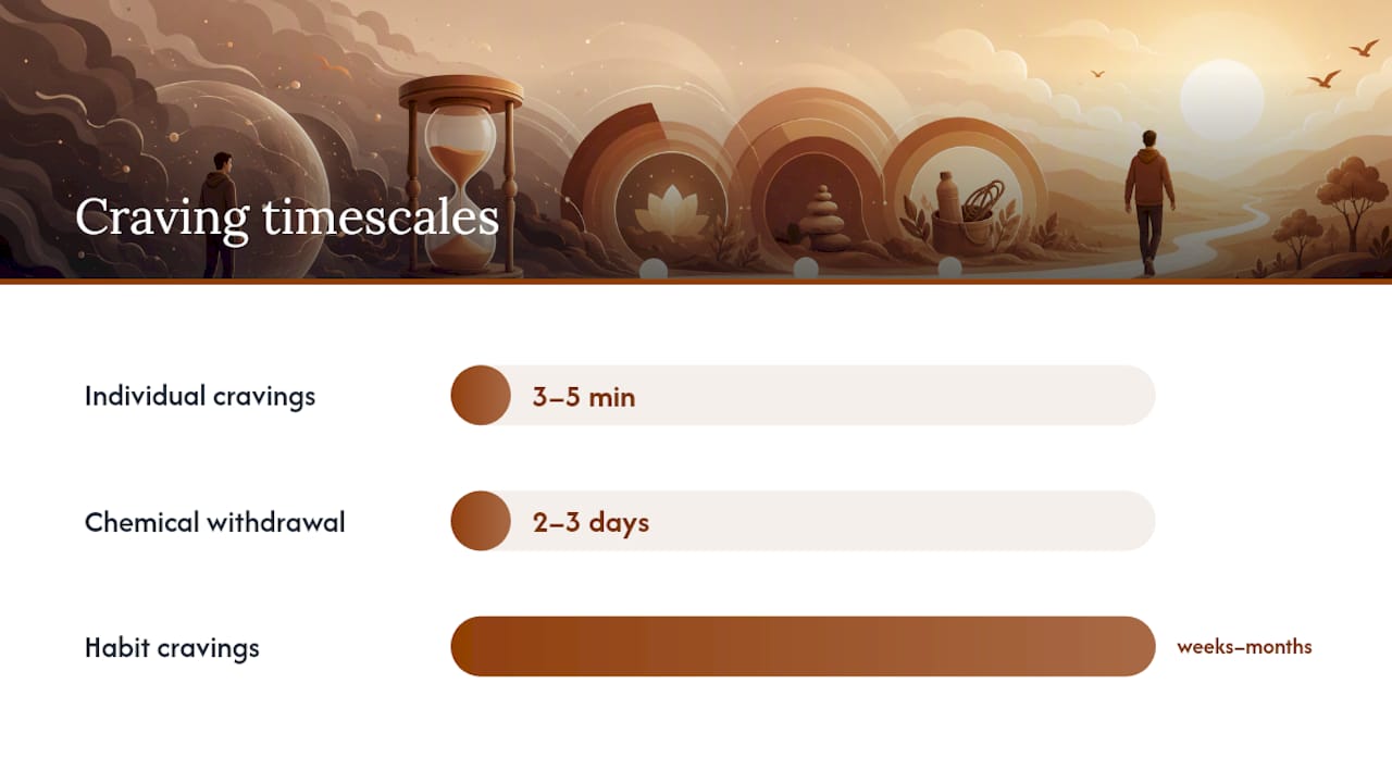 Three-scale nicotine craving timeline