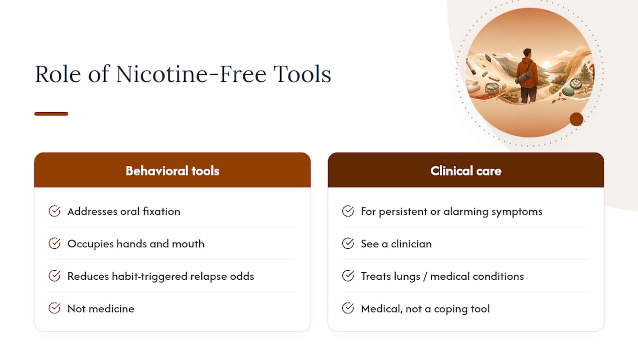 Where Do Nicotine-Free Tools Fit Into This Recovery? — overview diagram