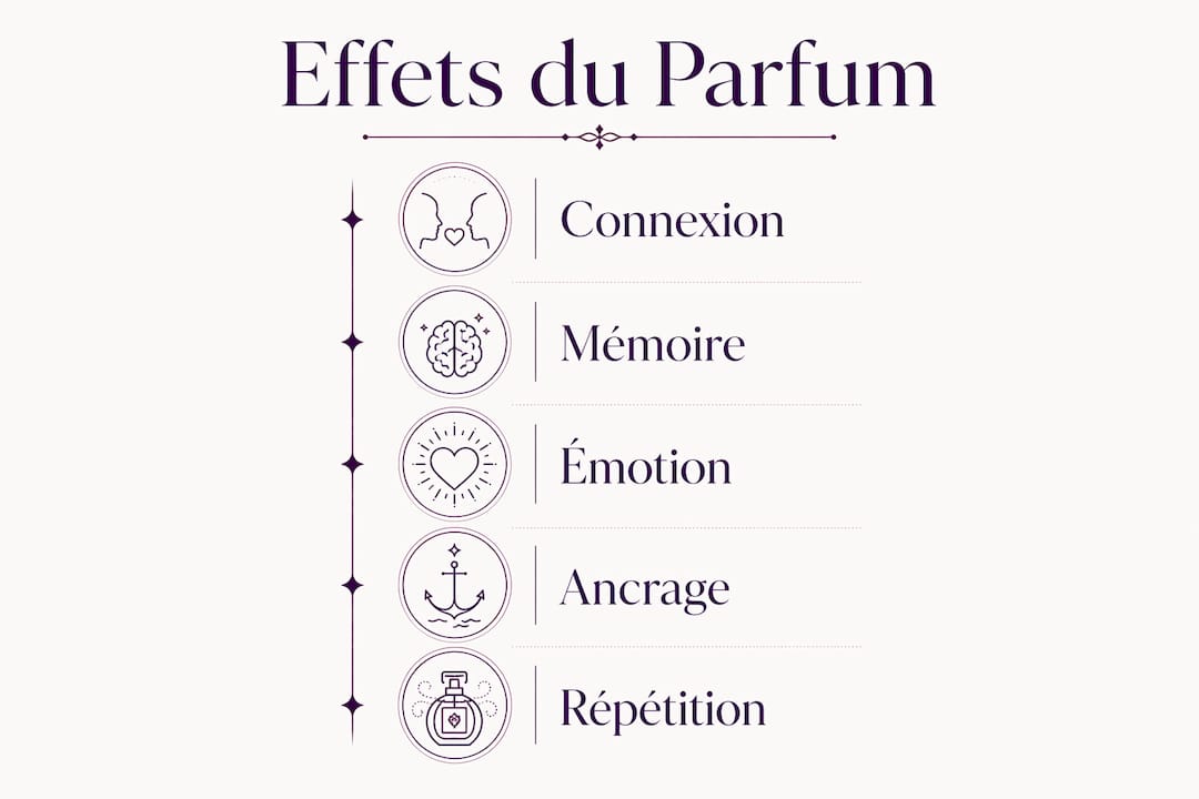 Infographie : comment les parfums influencent nos émotions