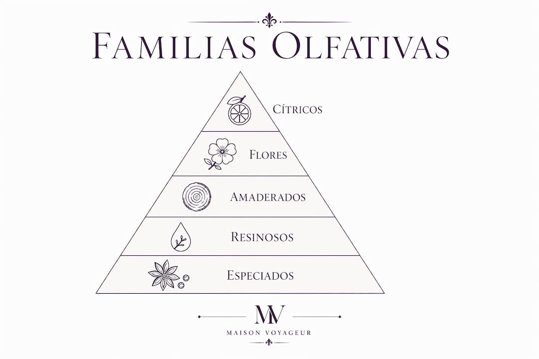 Infografía sobre las familias olfativas y cómo influyen en nuestras emociones