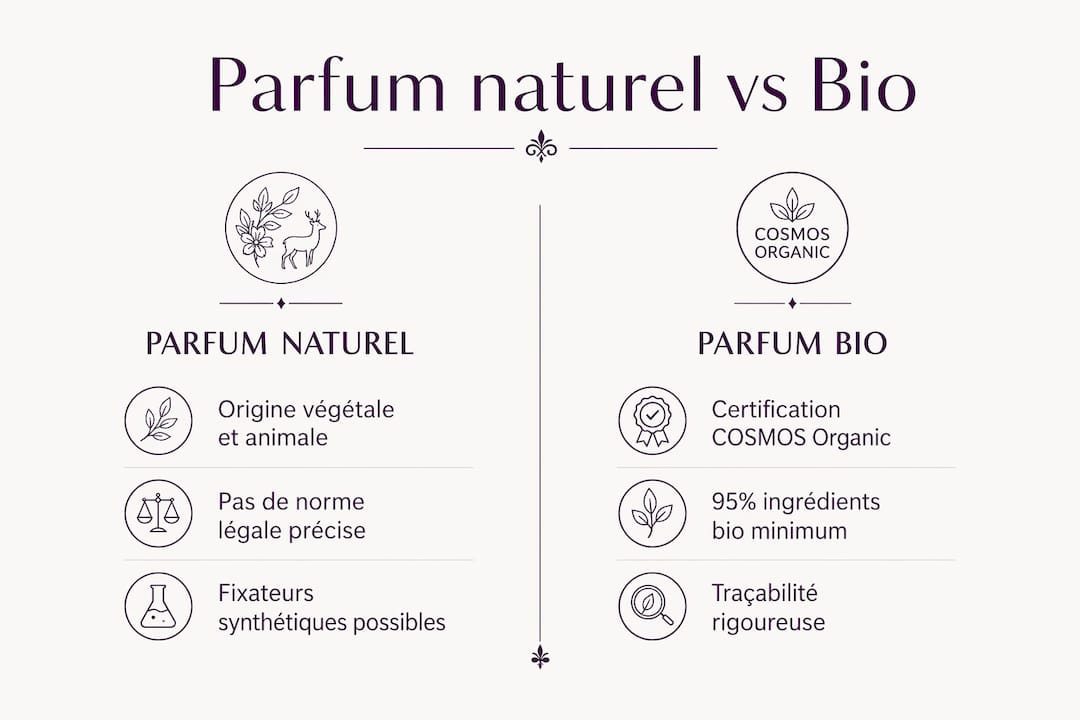 Infographie : les différences essentielles entre parfums naturels et parfums bio
