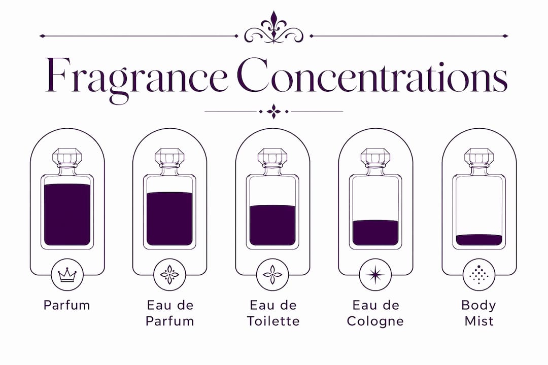 Infographic comparing fragrance concentration levels