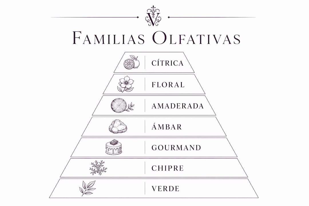 Guía visual de las principales familias olfativas