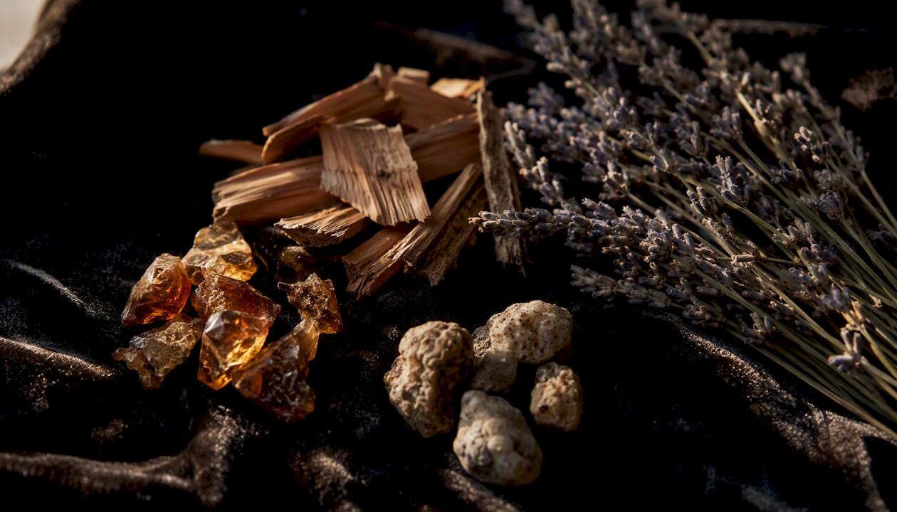Des matières premières nobles : résines naturelles et essences de bois pour sublimer la parfumerie.
