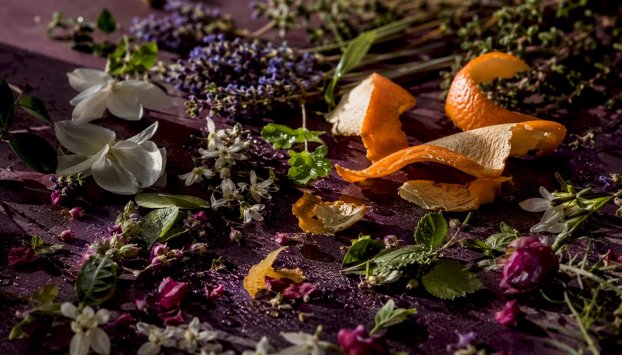 Close-up of Mediterranean fragrance botanicals