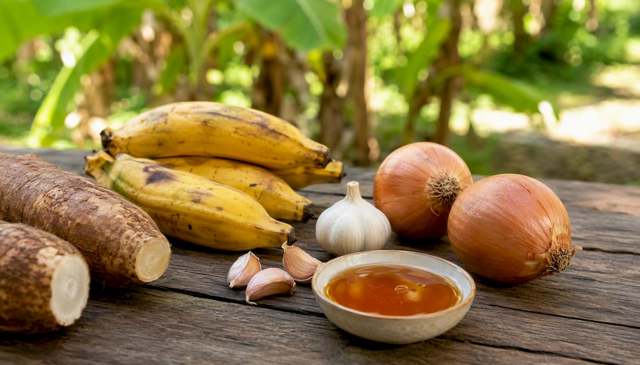 Variety of prebiotic-rich foods on counter