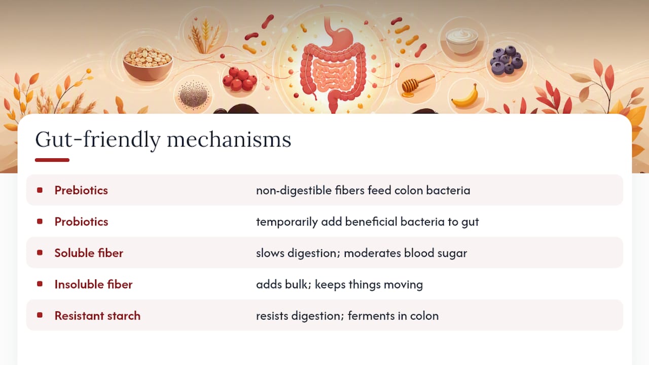 Diagram of gut-friendly food mechanisms