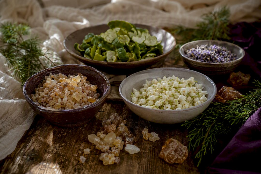 Aromatic botanicals arranged for meditation ritual