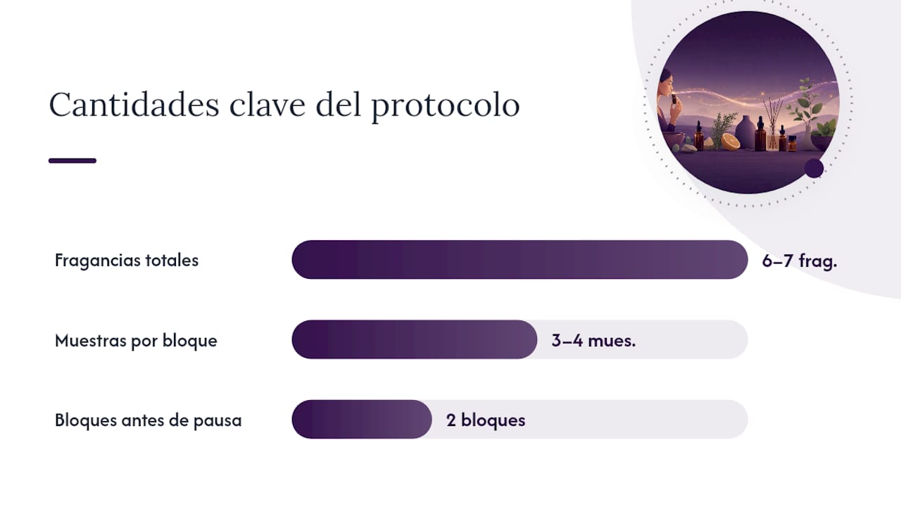 El protocolo de una perfumería artesanal para probar sin saturarse — overview diagram