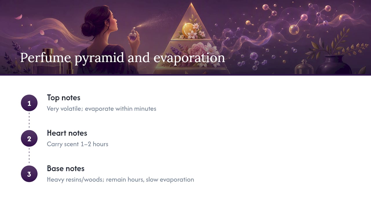 Perfume pyramid with evaporation rates