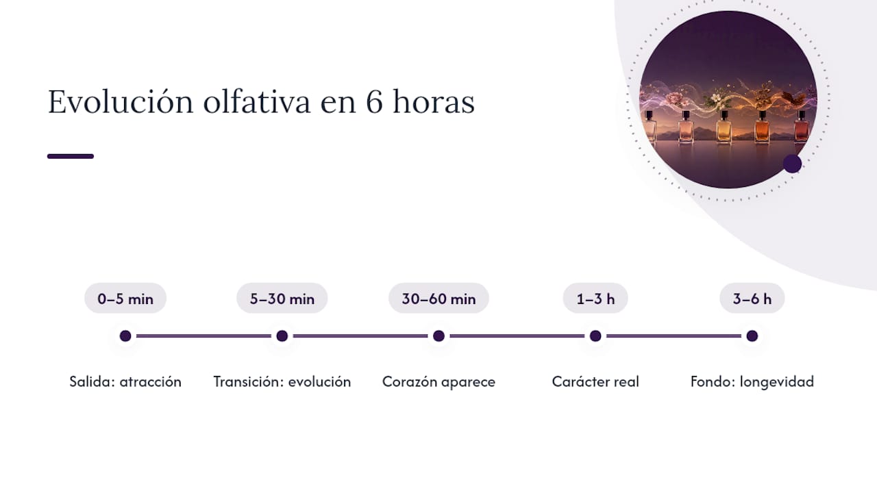 Diagrama de las etapas de la fragancia a lo largo del tiempo