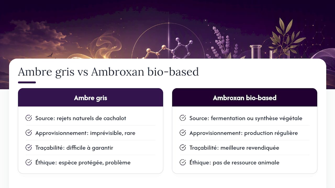 L'ambroxan est-il une alternative plus durable à l'ambre gris ? — overview diagram