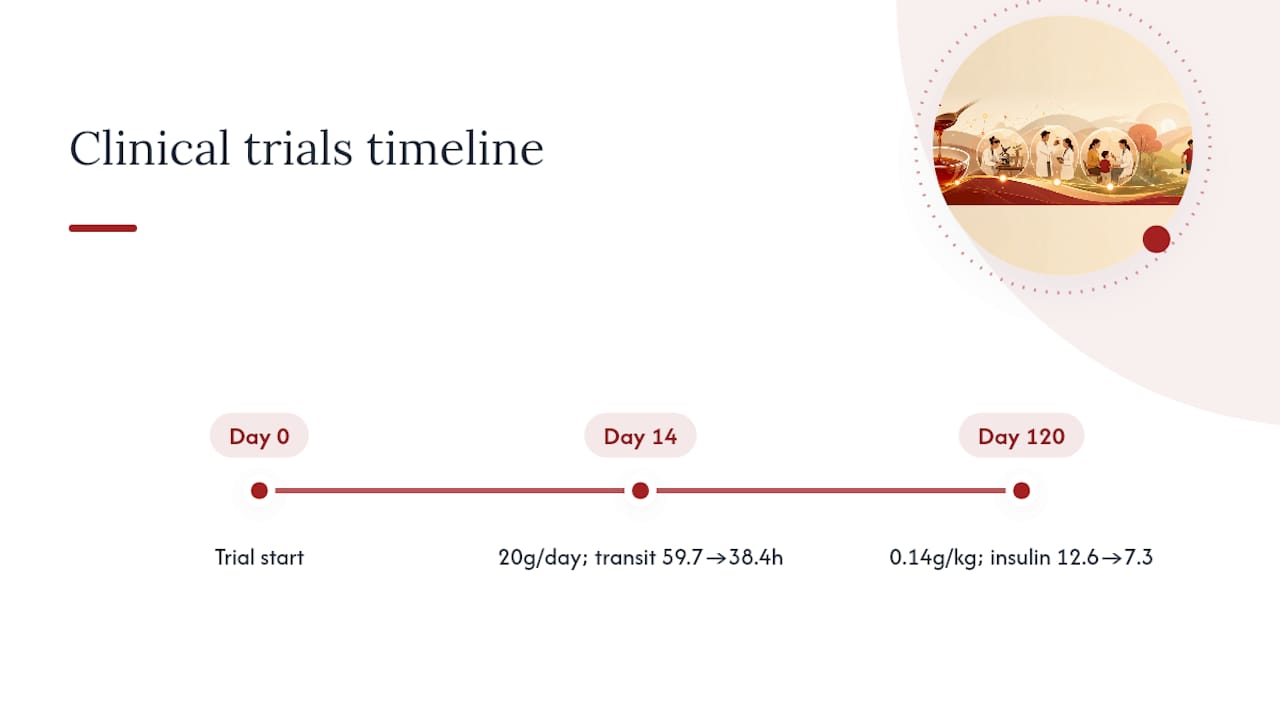 Yacon trials timeline and outcomes