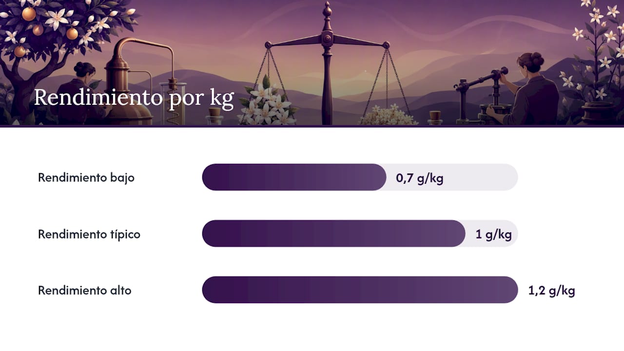 Rendimiento en la extracción del aceite de néroli