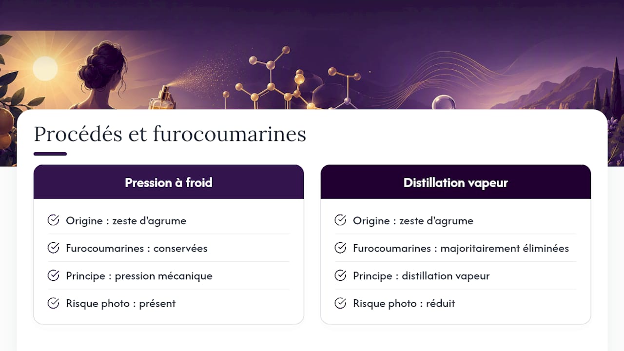 Comparaison des techniques d'extraction des agrumes