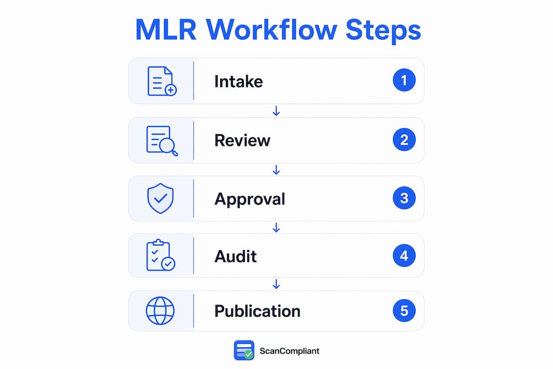 Infographic illustrating step-by-step MLR regulatory workflow