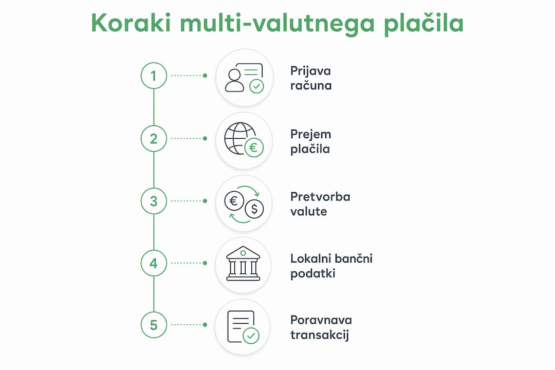 Infografika s prikazom postopka plačevanja v več valutah, korak za korakom.
