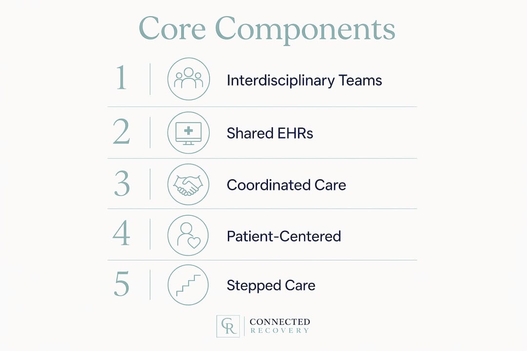 Infographic showing key components of integrated mental health treatment