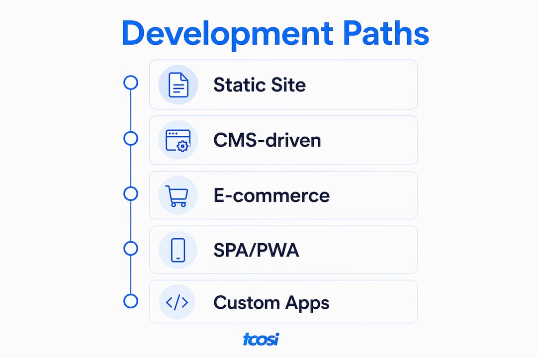 Infographic showing website development paths overview
