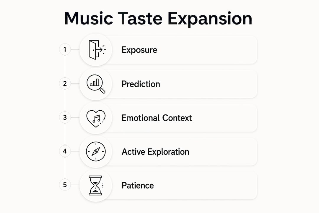 Infographic illustrating stages of music taste expansion