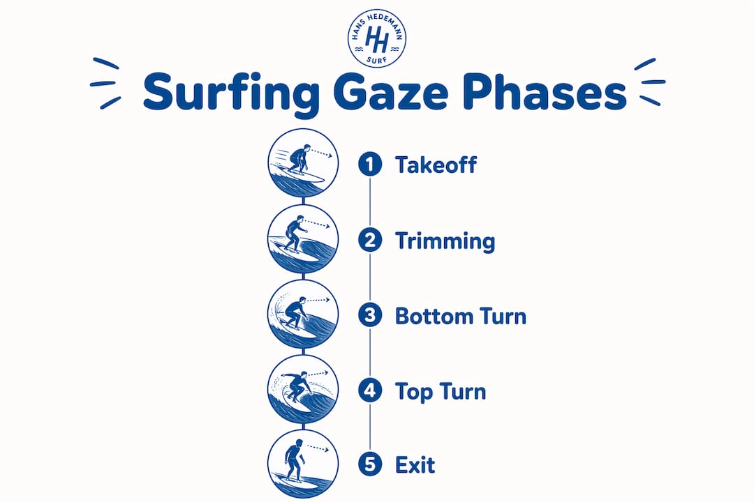 Infographic illustrating key surfing gaze phases