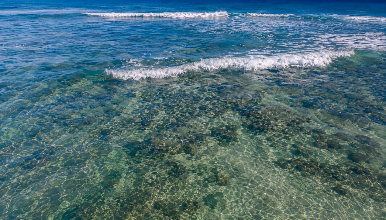 Gentle Waikiki waves rolling over coral reef shelf