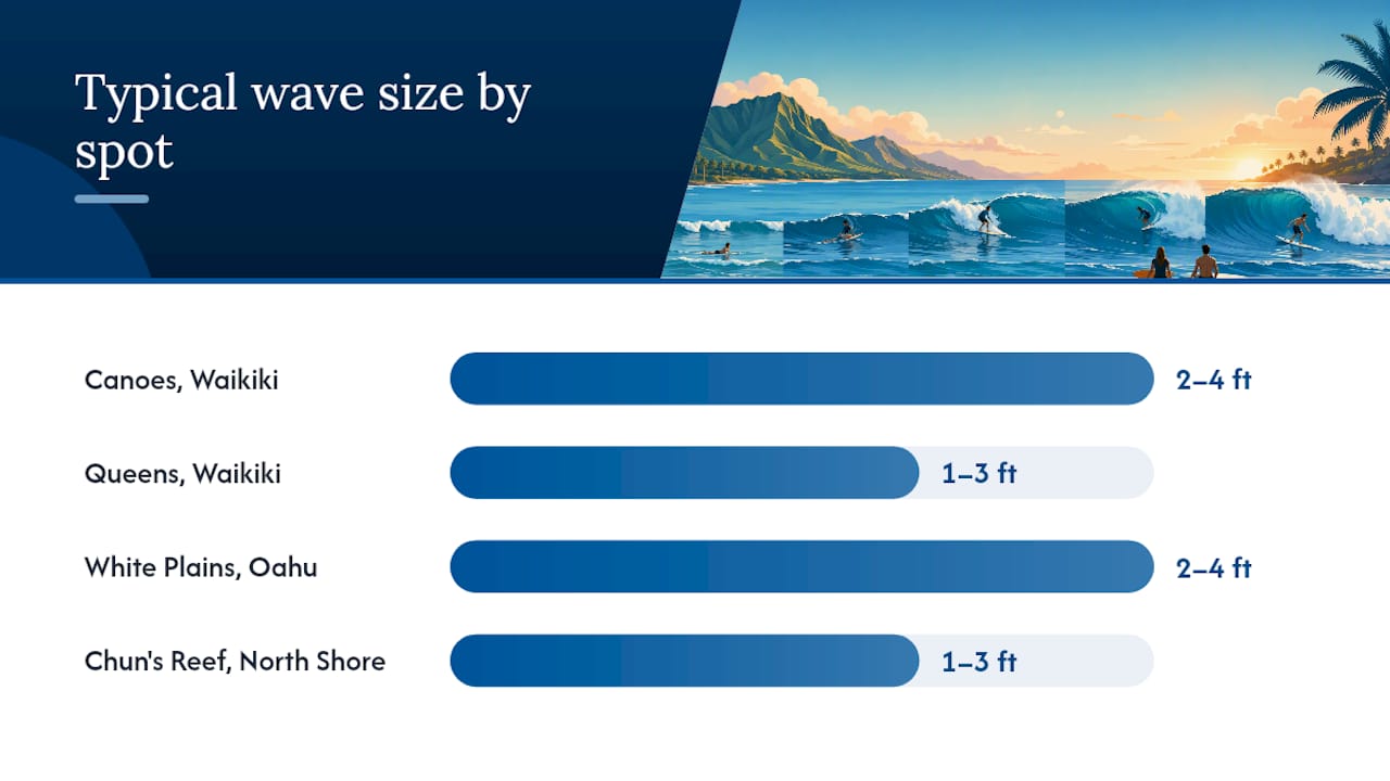 Comparison diagram of beginner surf spots in Hawaii