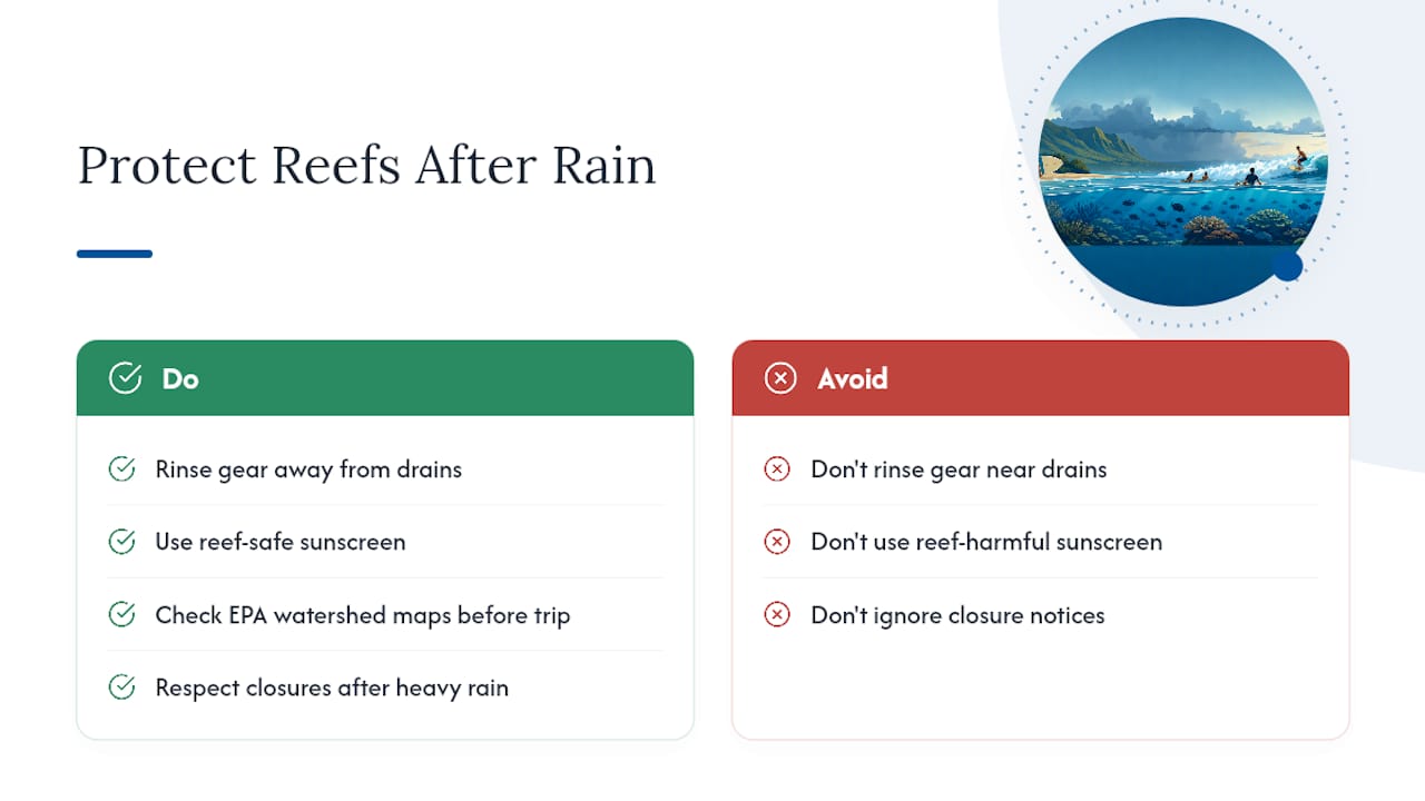 Rain Runoff and Hawaii's Marine Ecosystem — overview diagram