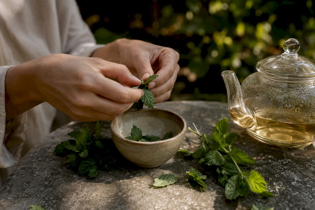 Hands crushing fresh peppermint leaves for tea