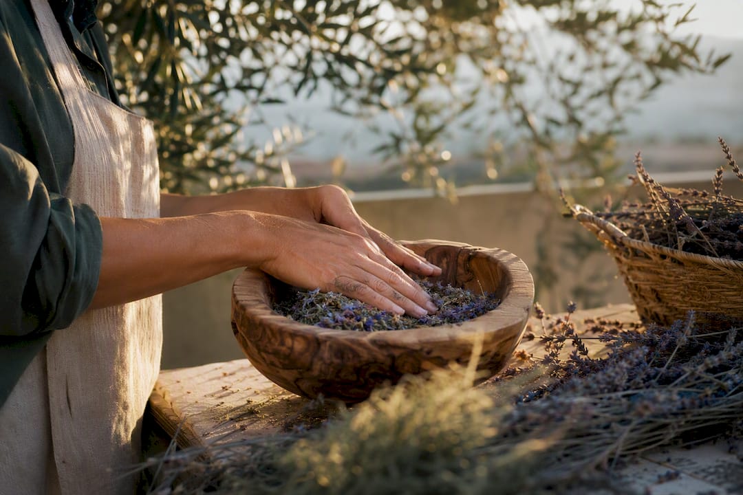 Hands crushing sunflower seeds outdoors