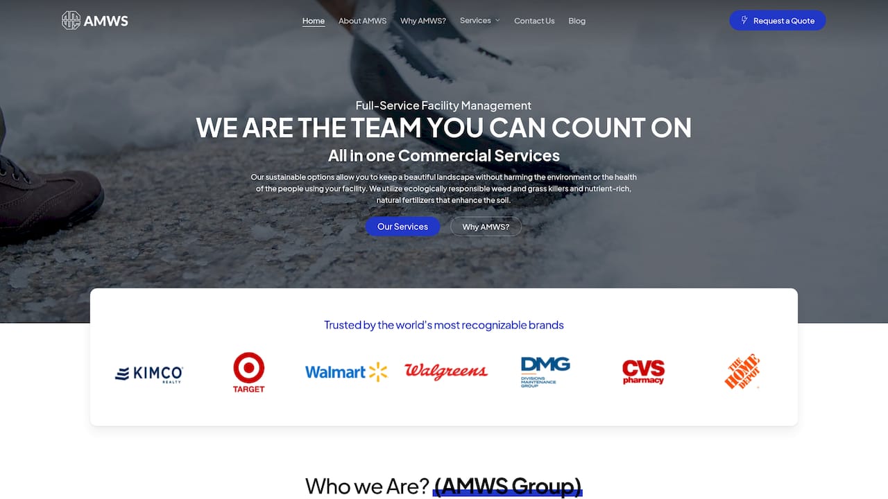 https://amwsgroup.com
